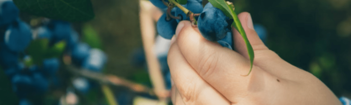 Smulkioji motorika: lavinimas, svarba, priemonės