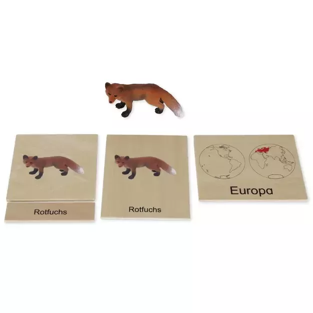 TimeTEX Žemynų gyvūnų dėžutė (Vokiška versija) "Montessori Premium" (TT94712) 1