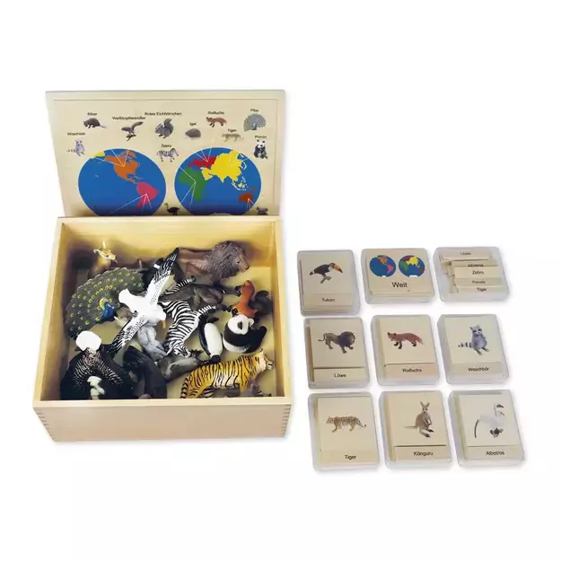 TimeTEX Žemynų gyvūnų dėžutė (Vokiška versija) "Montessori Premium" (TT94712)