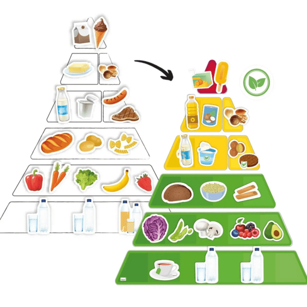 TimeTEX Mitybos piramidė su vegetariškais ir tradiciniais maisto produktais, magnetinis rinkinys, 129 dalių (TT81635)