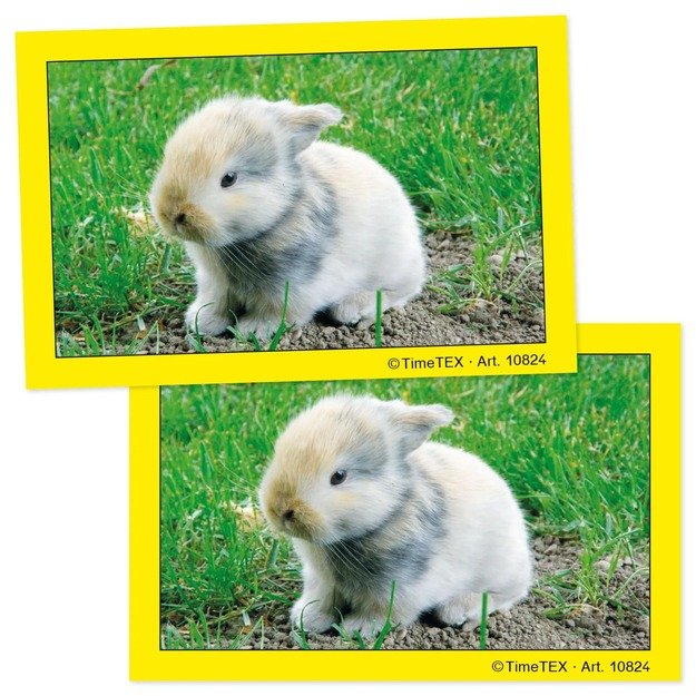 TimeTEX Porų kortelės, 34 vnt. dėžutėje (TT10824)