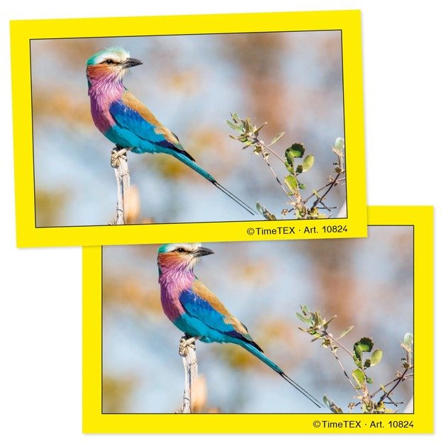 TimeTEX Porų kortelės, 34 vnt. dėžutėje (TT10824) 1