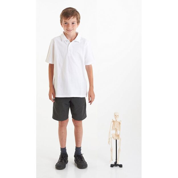 Priemonė - mini Žmogaus skeletas (CM03062) 1