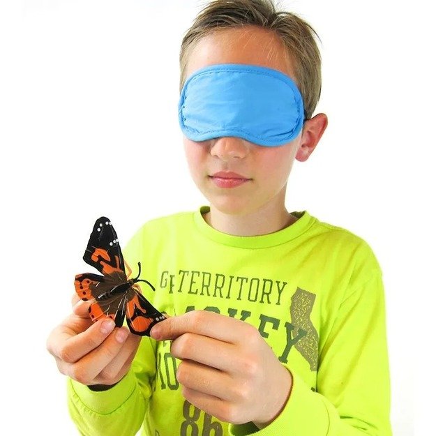 Akių uždangalų rinkinys, 6 vnt. (TT80886) 2