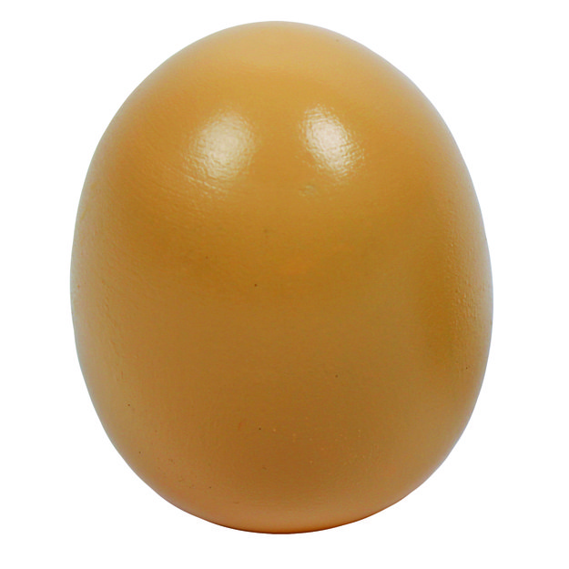 Beleduc lavinamoji priemonė - žaidimas  Dygliuotas  (22431) 5