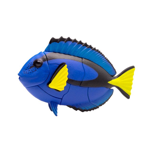 Thames & Kosmos edukacinė priemonė - erdvinė 3D dėlionė  Žuvis - Vėliavinis chirurgas  (265490)